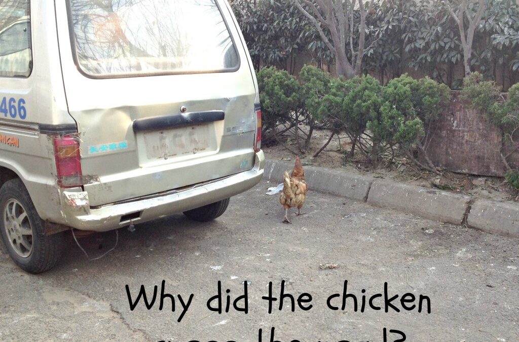 Why Did the Chicken Cross the Road?