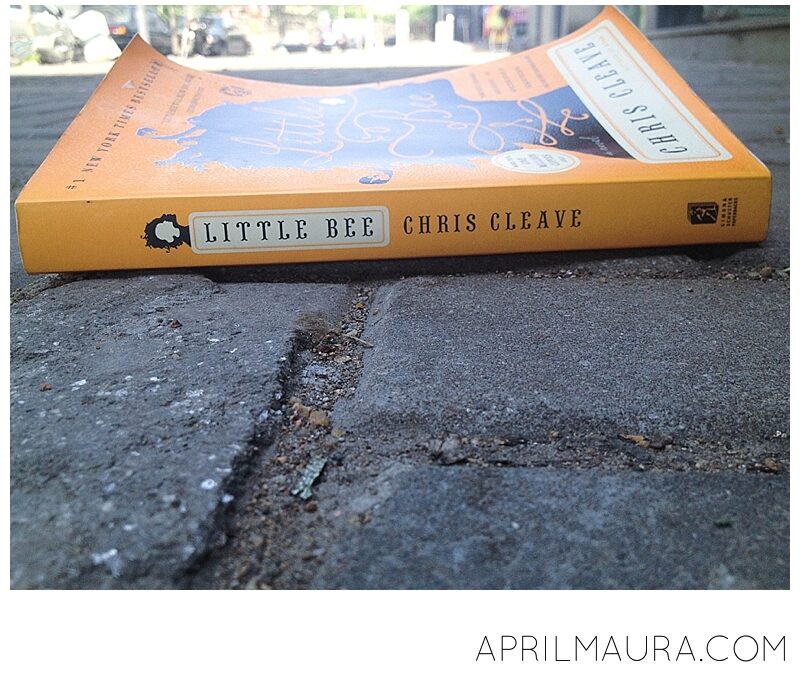 Book Review of “Little Bee”