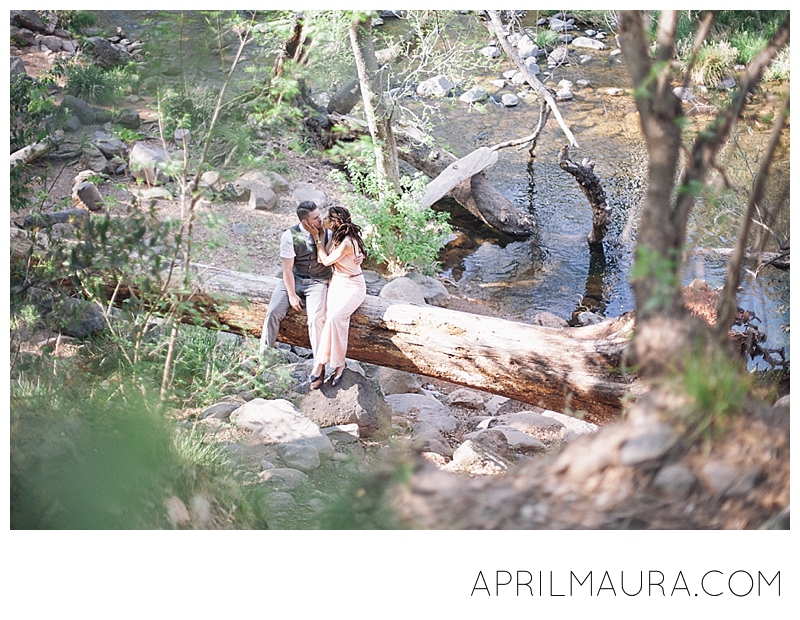 engaged couple sitting on a tree in Sedona | Sedona engagement i-G3mQ9vr.jpg