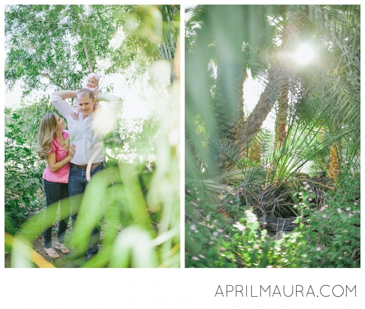 Palm Forest, Phoenix family photographer.jpg