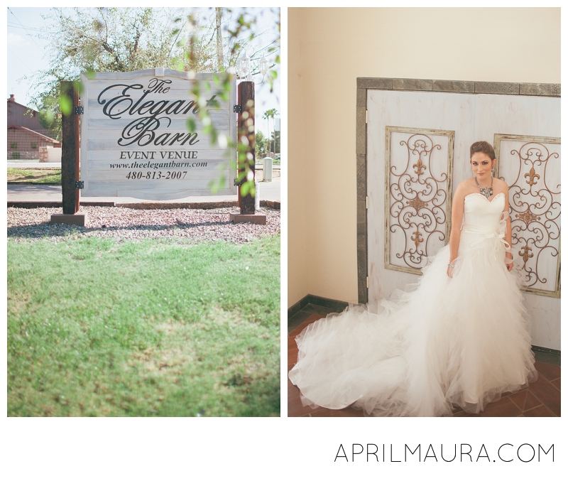 The Elegant Barn_outdoor Arizona venue_Whimsical Bride's Dress.jpg