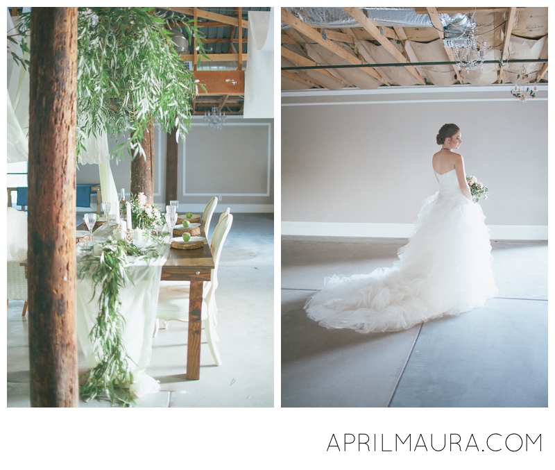 Arizona's Bride's Dress_Tempe_Arizona Wedding Photographer_0249.jpg