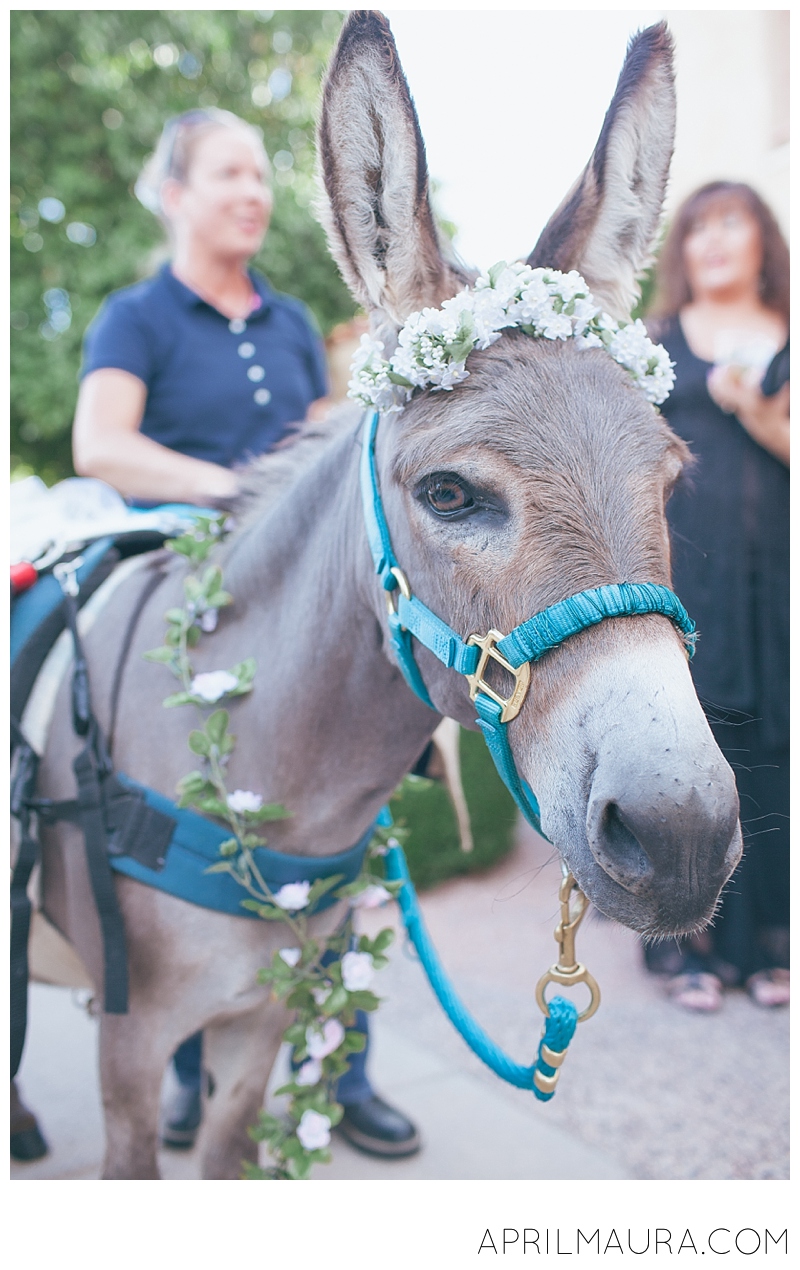 Scottsdale_Plaza_ Resort_Wedding_Tempe_Wedding_Photographer_April_Maura_Photography_0043.jpg