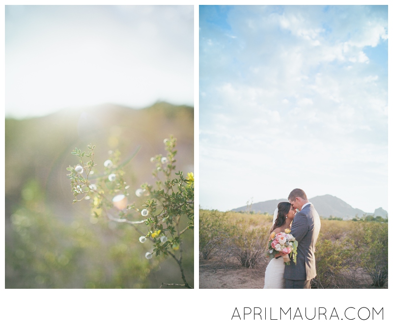 Scottsdale_Plaza_ Resort_Wedding_Tempe_Wedding_Photographer_April_Maura_Photography_0061.jpg