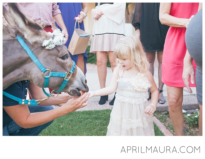 Scottsdale_Plaza_ Resort_Wedding_Tempe_Wedding_Photographer_April_Maura_Photography_0165.jpg