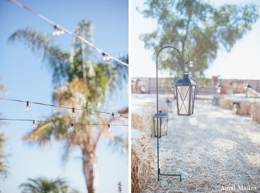 April_Maura_Photography_Scottsdale_Wedding_Photographer_0006.jpg