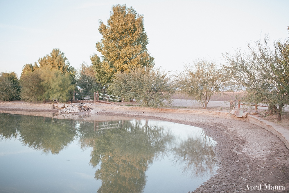 The_Windmill_Winery_Wedding_April_Maura_Photography_0050.jpg