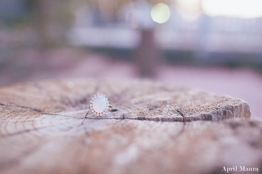 The_Windmill_Winery_Wedding_April_Maura_Photography_0061.jpg