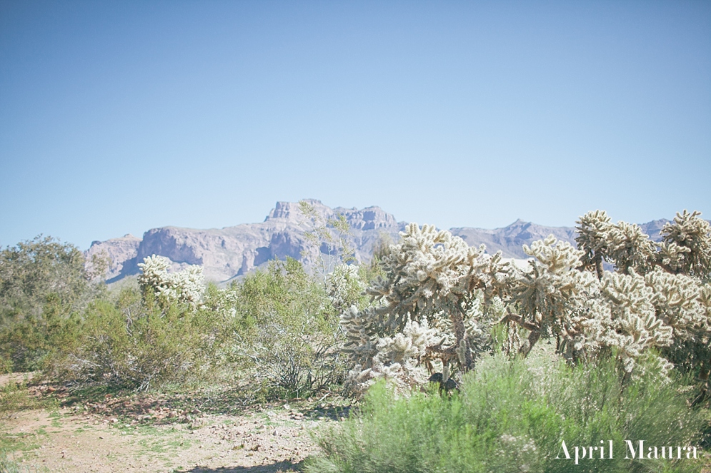 Superstition_Mountain_Desert_Wedding_April_Maura_Photography_Phoenix_Wedding_Photographer_0005.jpg