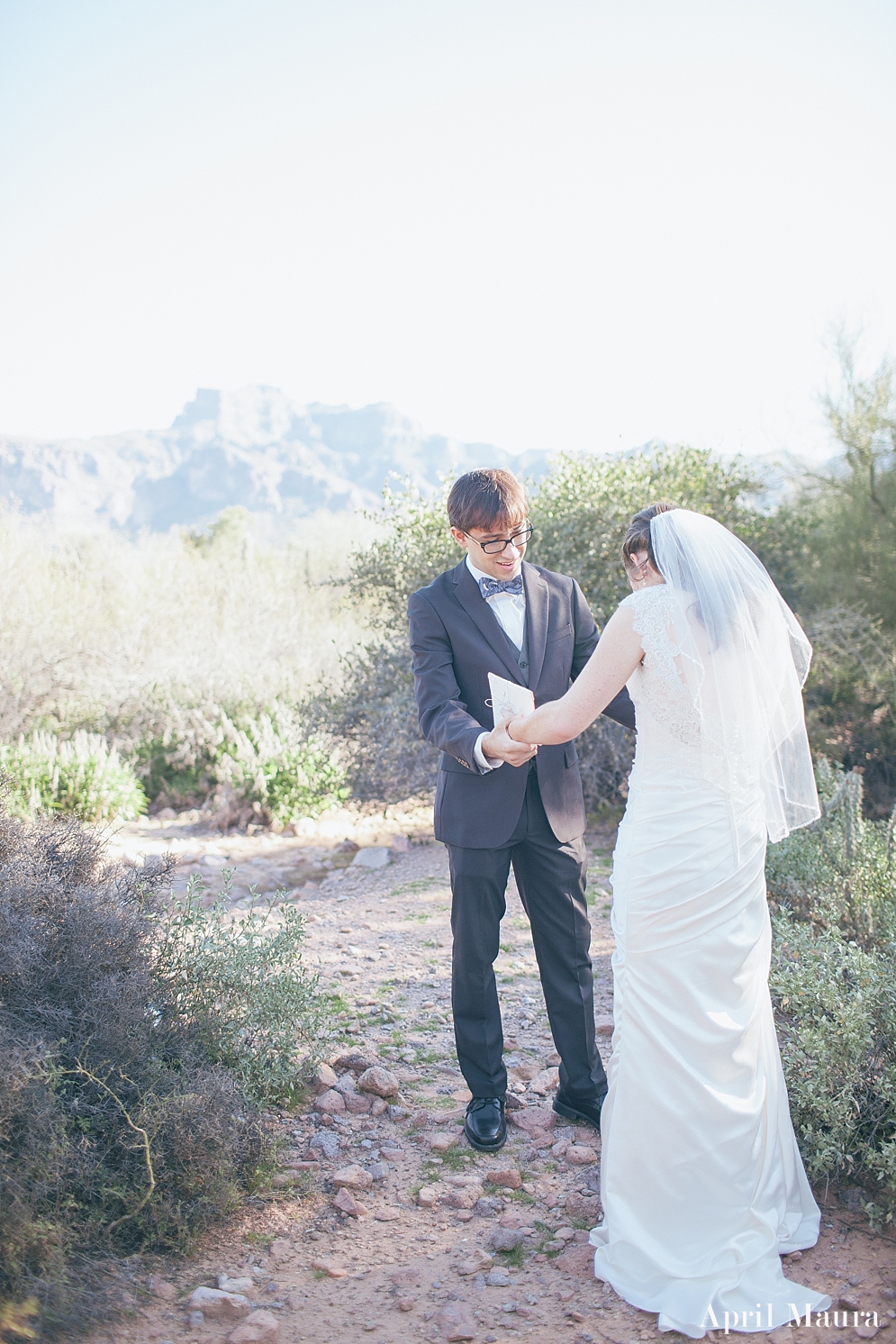 Arizona_first_look_Superstition_Mountain_Desert_Wedding_April_Maura_Photography_0017.jpg