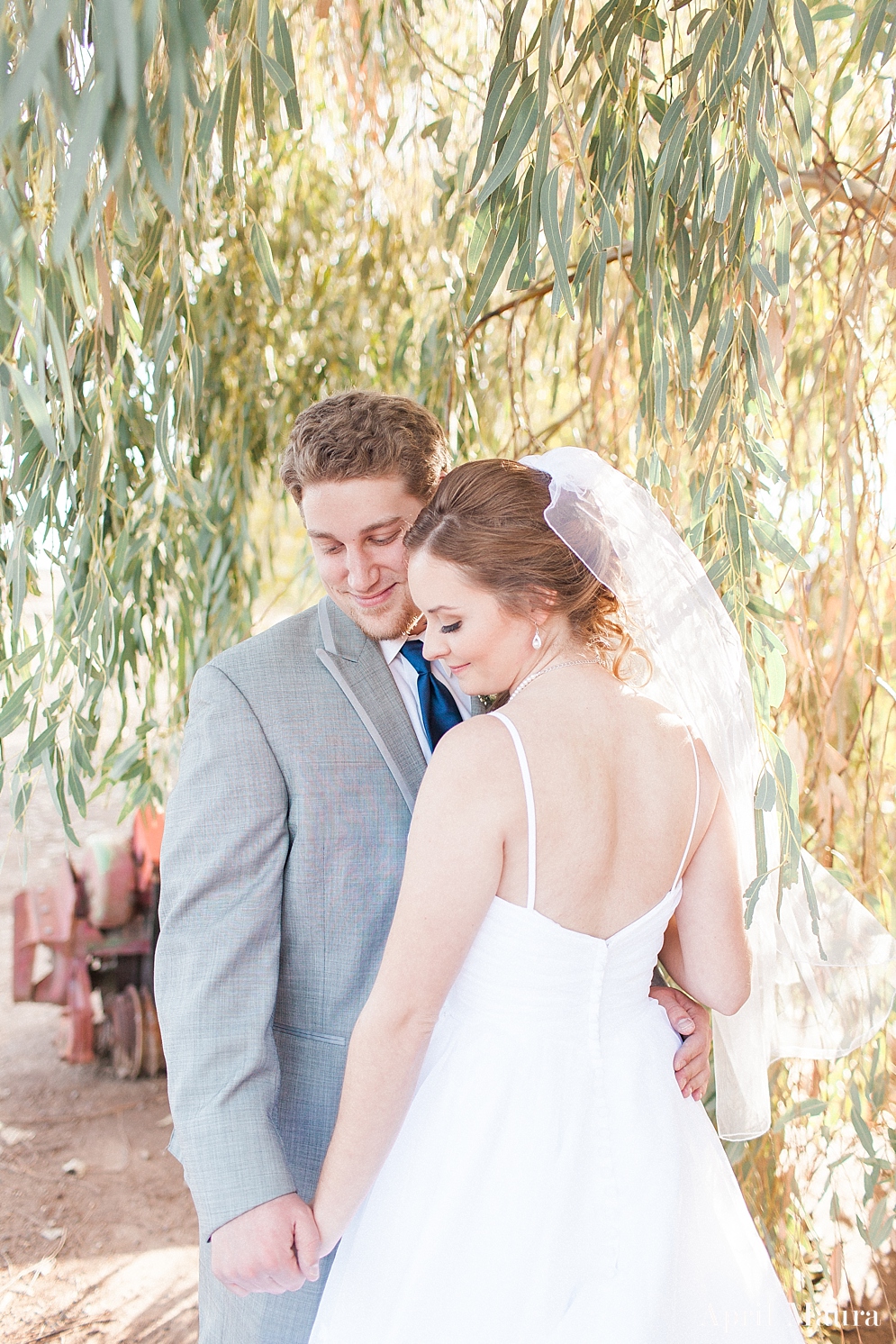 Arizona_Nautical_Wedding_The_Windmill_Winery_The_Lakehouse_April_Maura_Photography_0026.jpg