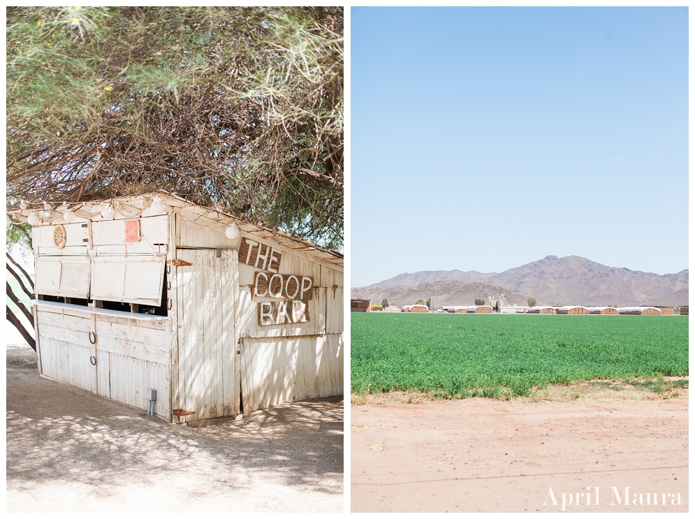 Outdoor Arizona wedding venue | The_Whispering_Tree_Ranch_Arizona_Wedding venue_April_Maura_Photography_0014.jpg