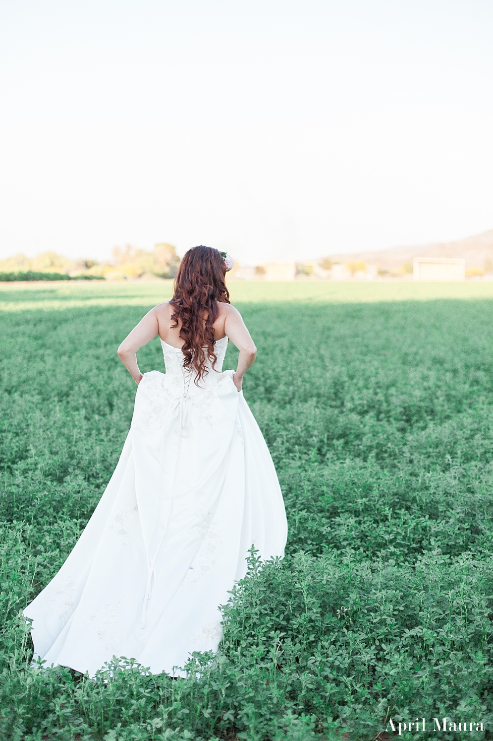 bride walking in a green field | Arizona bride | The_Whispering_Tree_Ranch_Arizona_Wedding_April_Maura_Photography_0055.jpg