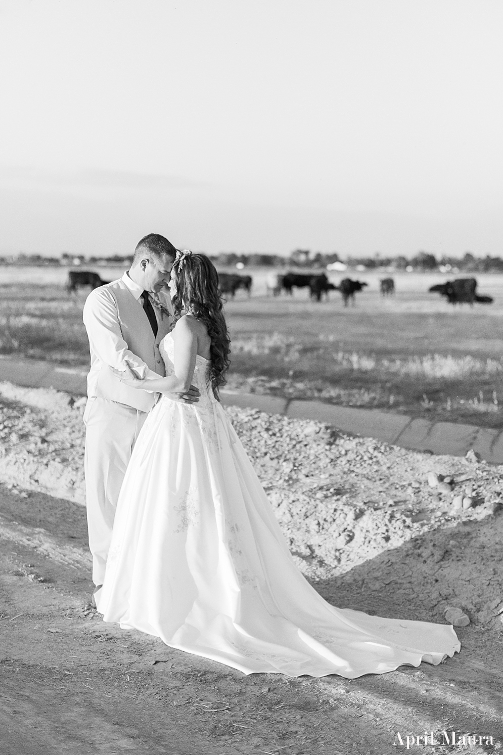 The_Whispering_Tree_Ranch_Arizona_Wedding_April_Maura_Photography_0063.jpg