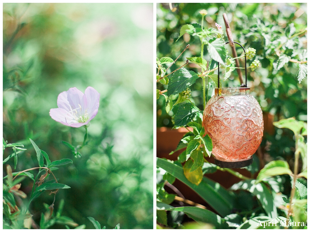 April_Maura_Photography_Mesa_Wedding_Arizona_LDS_Wedding_Photographer_Gerber_Gardens_Mesa_Wedding_Venue_Tea_Cup_Wedding_0017.jpg