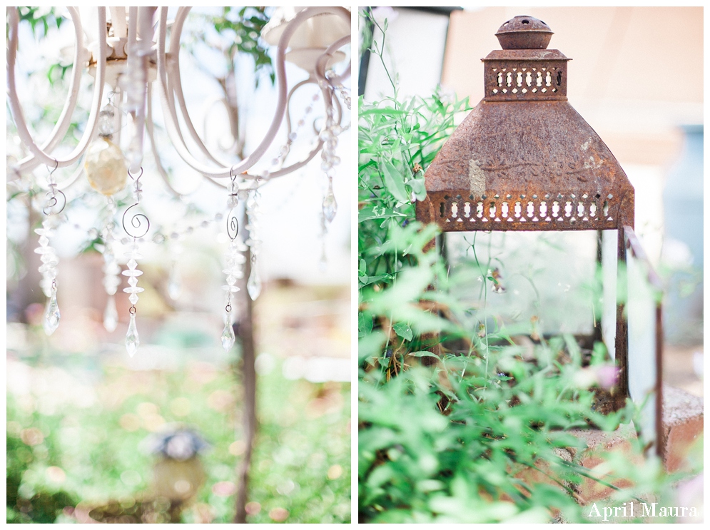 April_Maura_Photography_Mesa_Wedding_Arizona_LDS_Wedding_Photographer_Gerber_Gardens_Mesa_Wedding_Venue_Tea_Cup_Wedding_0020.jpg