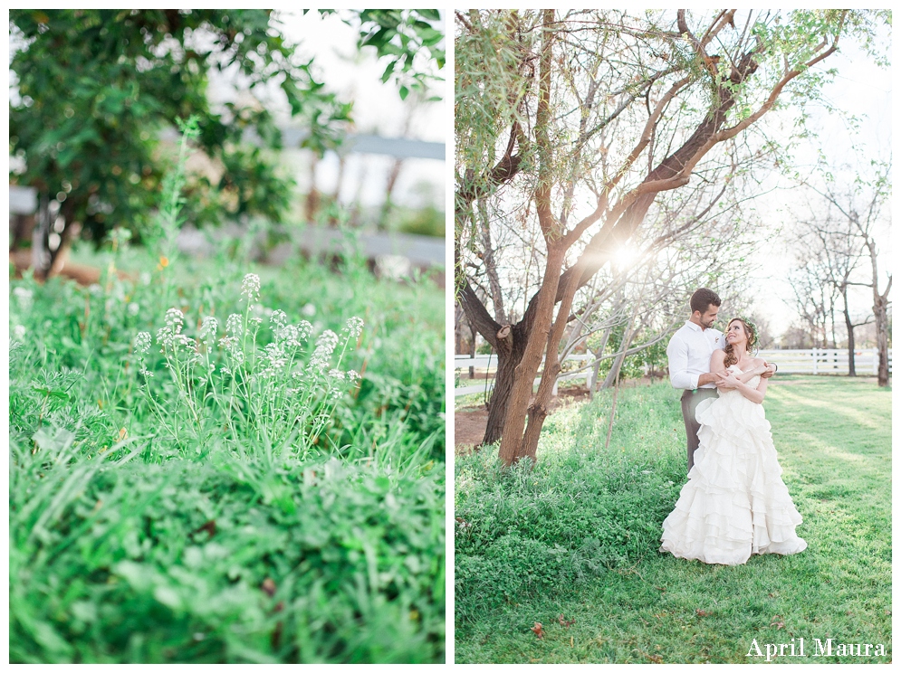 Venue_at_the_Grove_Phoenix_wedding_venue_April_Maura_Photography_0004.jpg