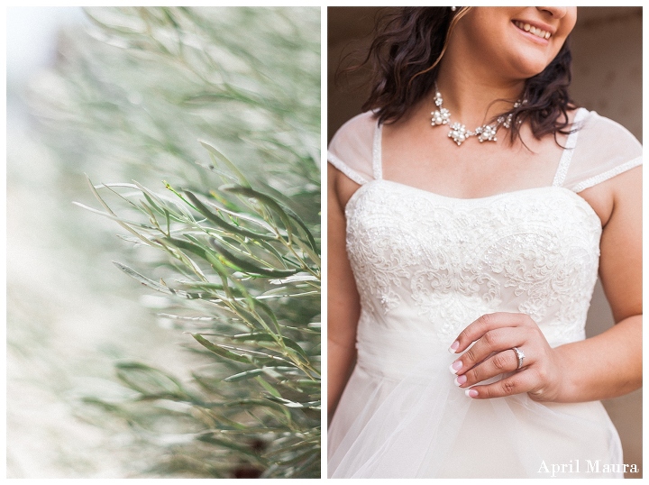 Wedgewood_Palm_Valley_Wedding_April_Maura_Photography_golf_course_country_wedding_0003.jpg