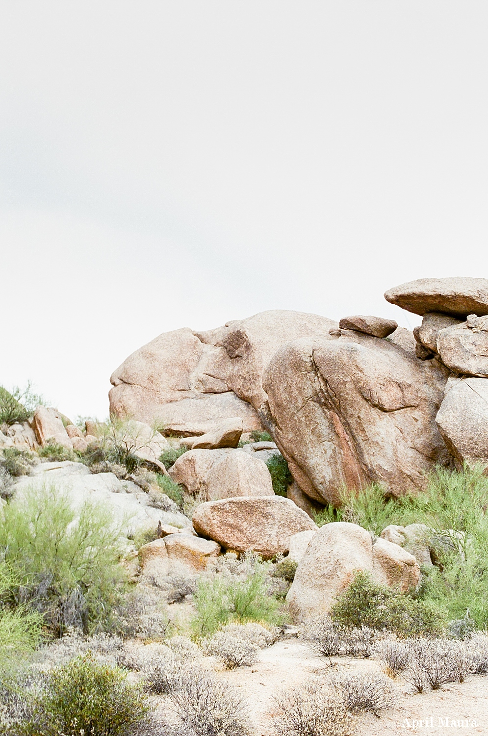 The Boulders Wedding | April Maura Photography | Arizona Wedding Photos | Scottsdale Wedding Photographer |Fuji 400 Film | Arizona Fine Art Film Photographer _0004