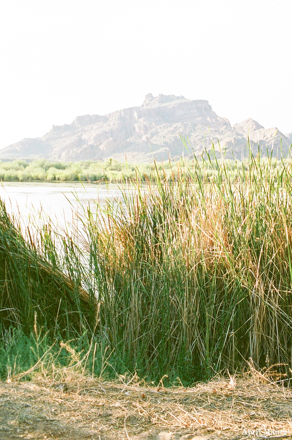 Granite Reef | Salt River Engagement | Fuji 400 | Arizona Fine Art Film Photographer_0001