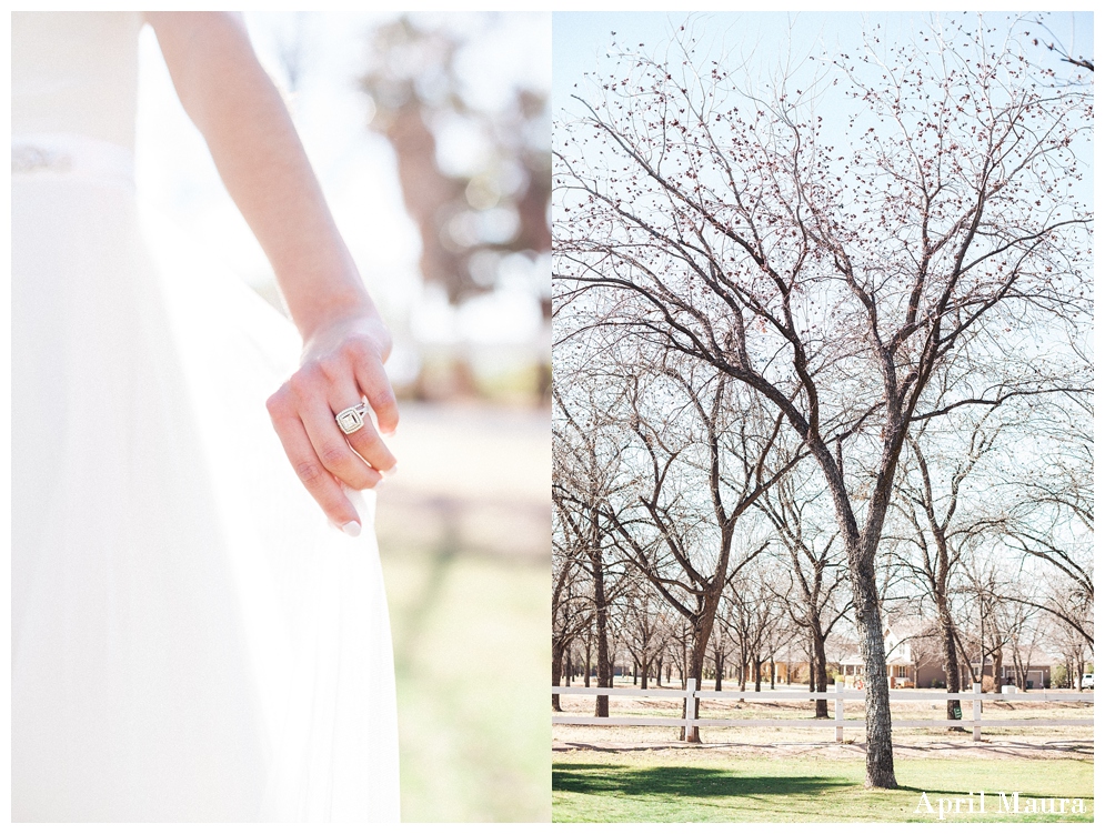 Venue at the Grove Wedding Photos | Phoenix Wedding Photographer | April Maura Photography | www.aprilmaura.com_0478.jpg