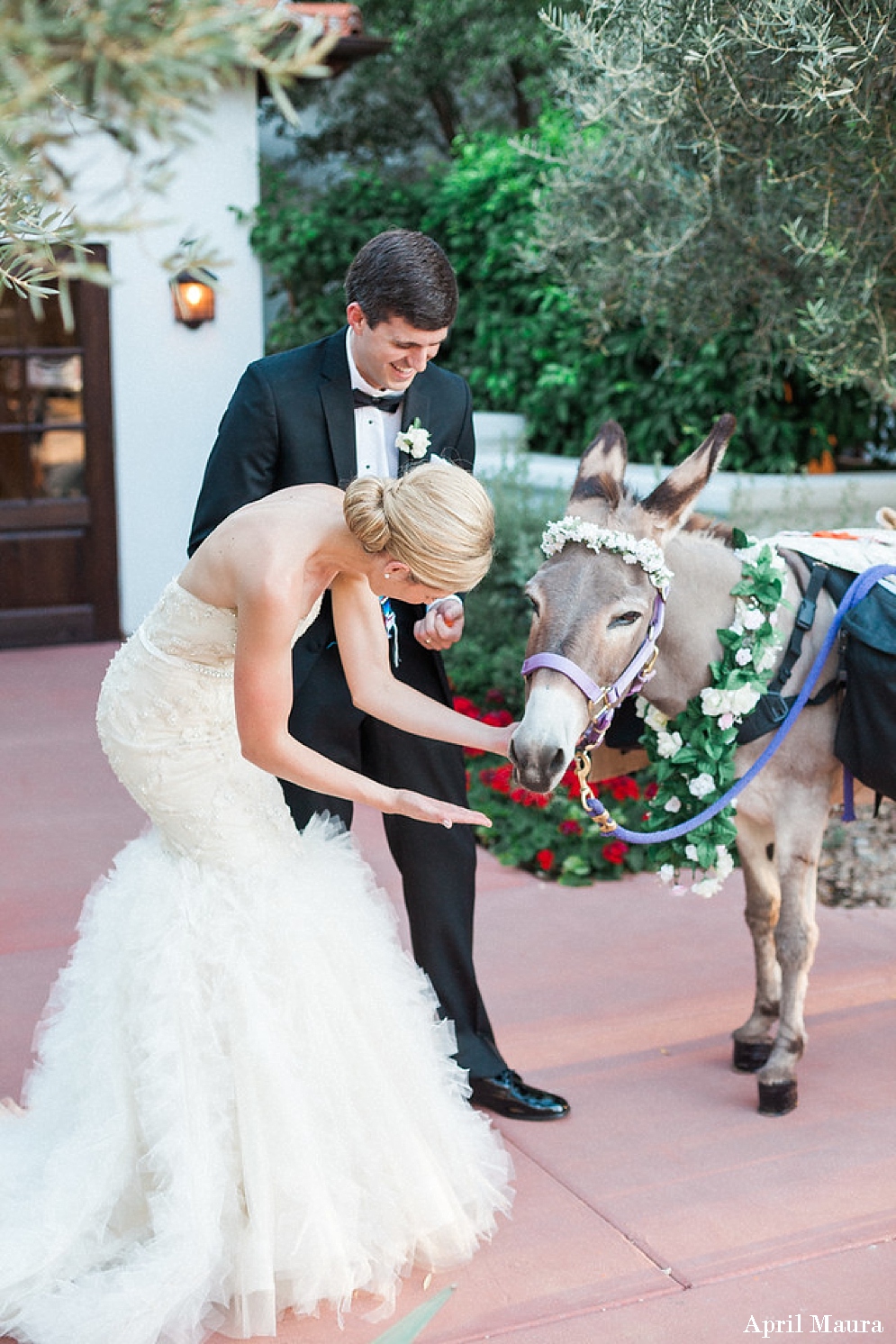 El Chorro Wedding Photos | Scottsdale Wedding Photos | April Maura Photography | www.aprilmaura.com_0683.jpg