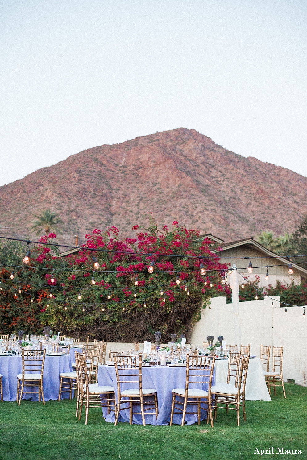 Royal Palm Resort & Spa Wedding Photos | Scottsdale Wedding Photos | April Maura Photography | www.aprilmaura.com_0828.jpg