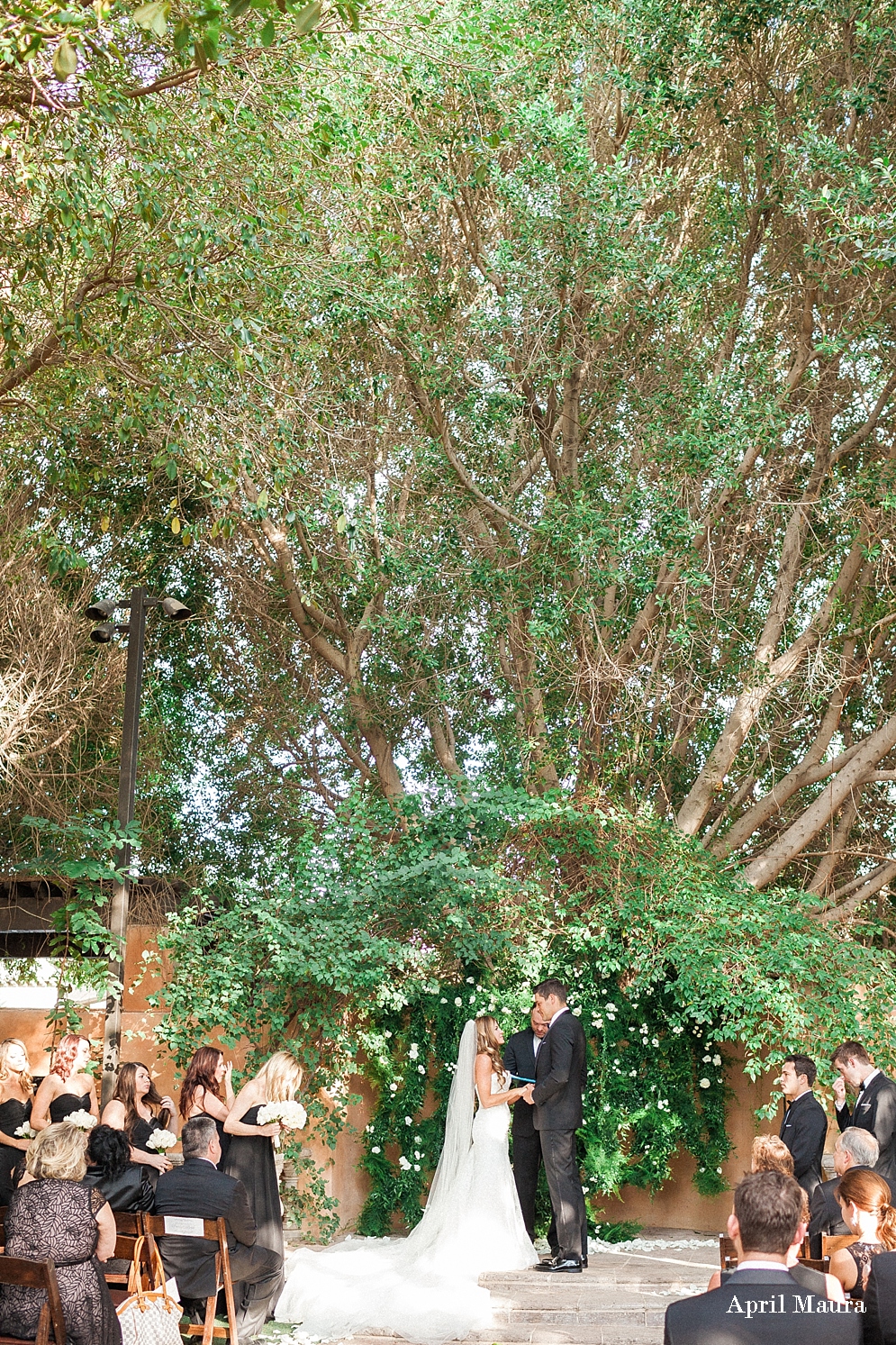 Royal Palm Resort and Spa Wedding Wedding Photos | Scottsdale Wedding Photos | April Maura Photography | www.aprilmaura.com_0638.jpg