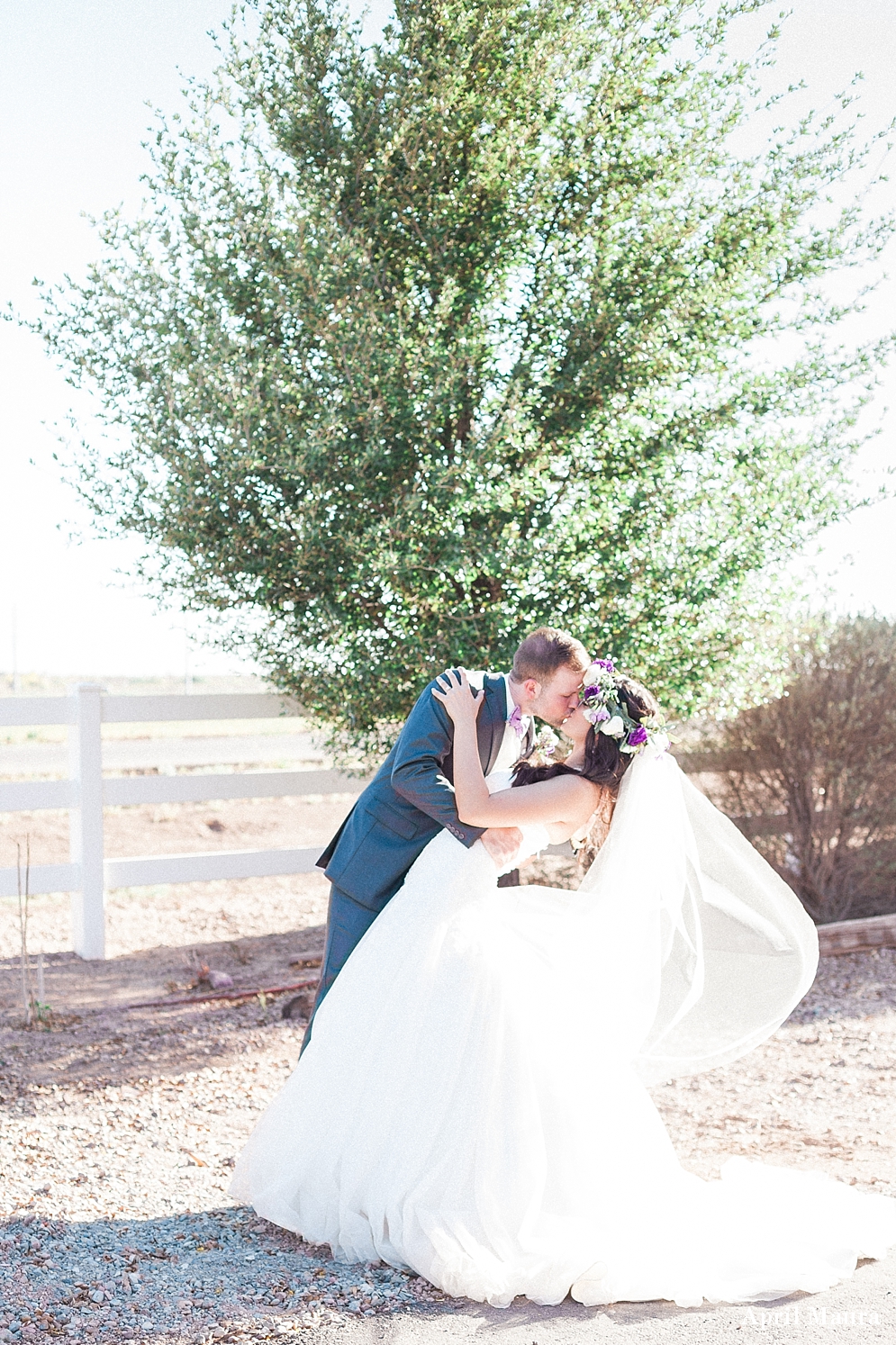 The Windmill Winery Wedding Photos | Scottsdale Wedding Photos | April Maura Photography | www.aprilmaura.com_1031.jpg