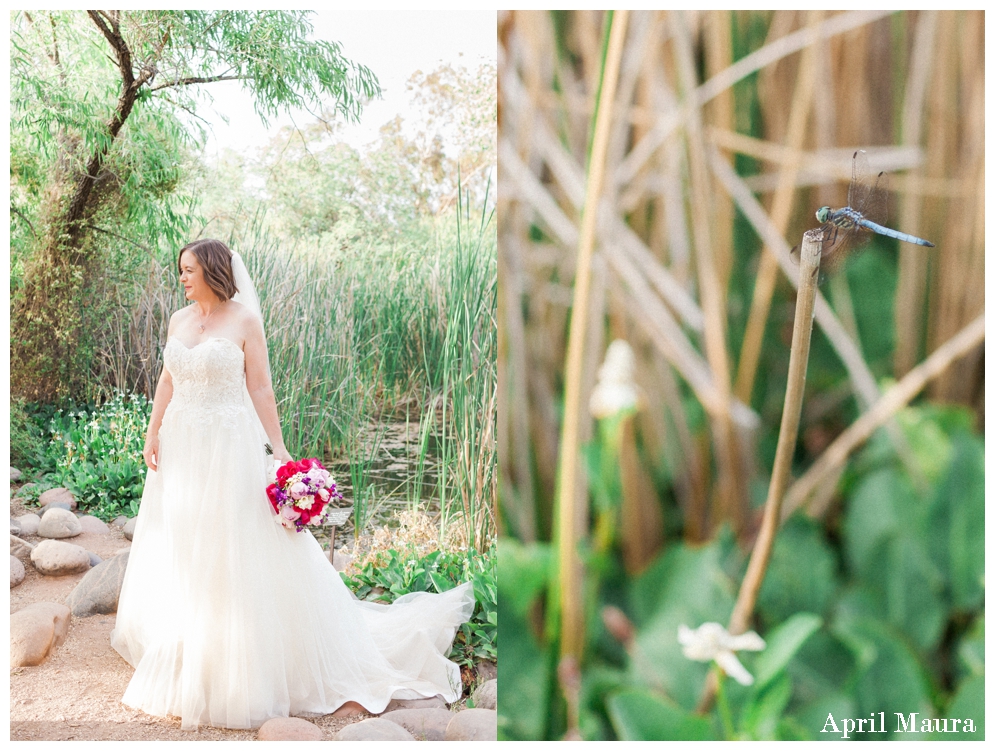 Phoenix Desert Botanical Garden Wedding Photos | Scottsdale Wedding Photos | April Maura Photography | www.aprilmaura.com_1212.jpg