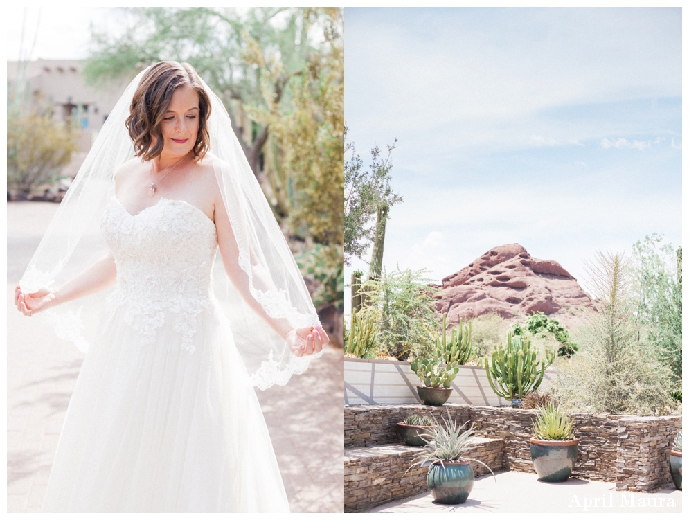 Phoenix Desert Botanical Garden Wedding Photos | Scottsdale Wedding Photos | April Maura Photography | www.aprilmaura.com_1215.jpg