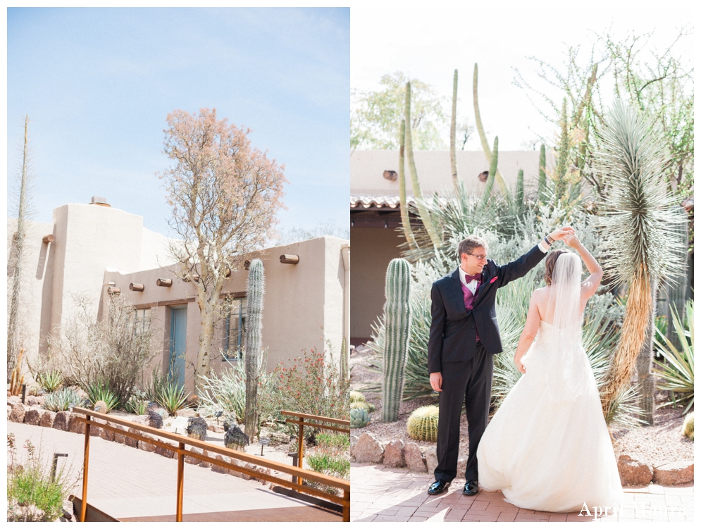 Phoenix Desert Botanical Garden Wedding Photos | Scottsdale Wedding Photos | April Maura Photography | www.aprilmaura.com_1216.jpg