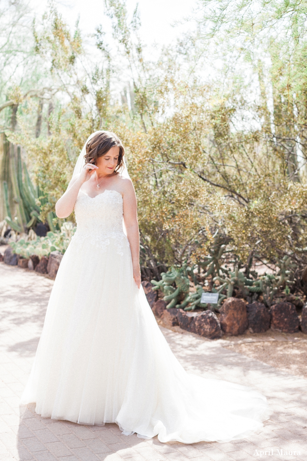 Phoenix Desert Botanical Garden Wedding Photos | Scottsdale Wedding Photos | April Maura Photography | www.aprilmaura.com_1244.jpg