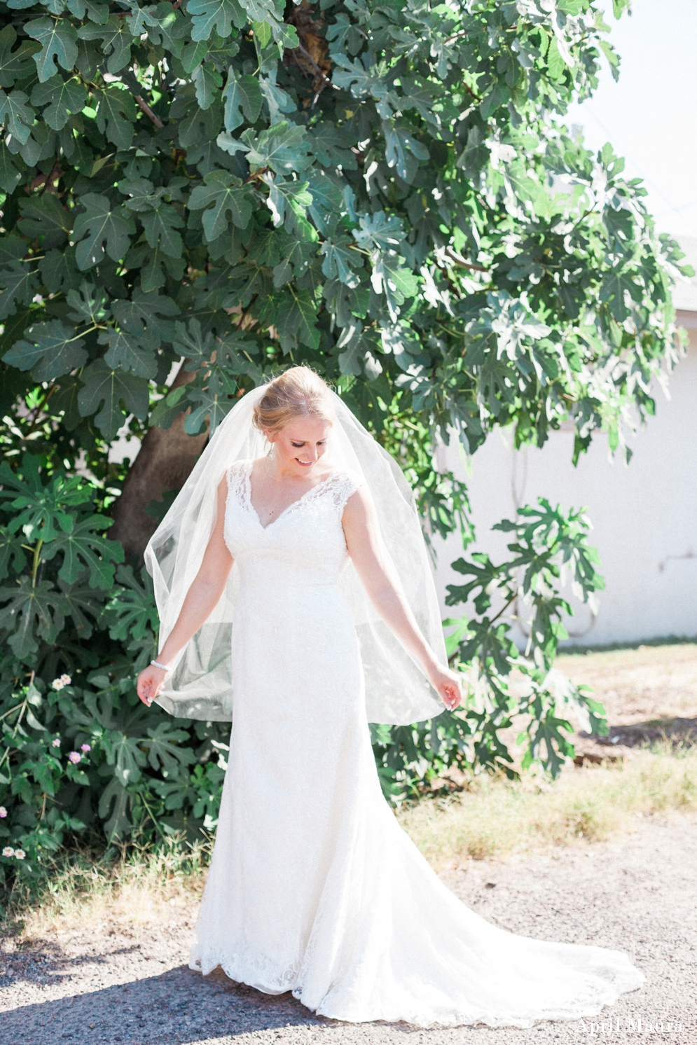 Arizona Country Club Wedding Photos | Scottsdale Wedding Photos | April Maura Photography | www.aprilmaura.com_1428.jpg