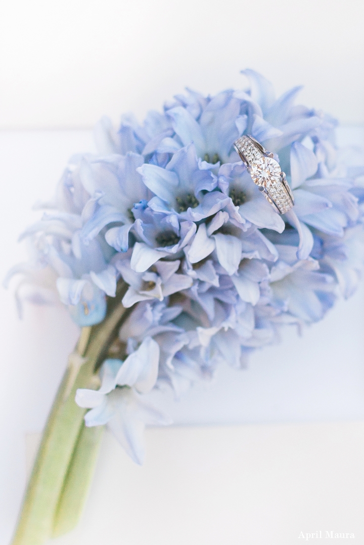 Farm at South Mountain Wedding Photos | Scottsdale Wedding Photos | April Maura Photography | www.aprilmaura.com_1782.jpg