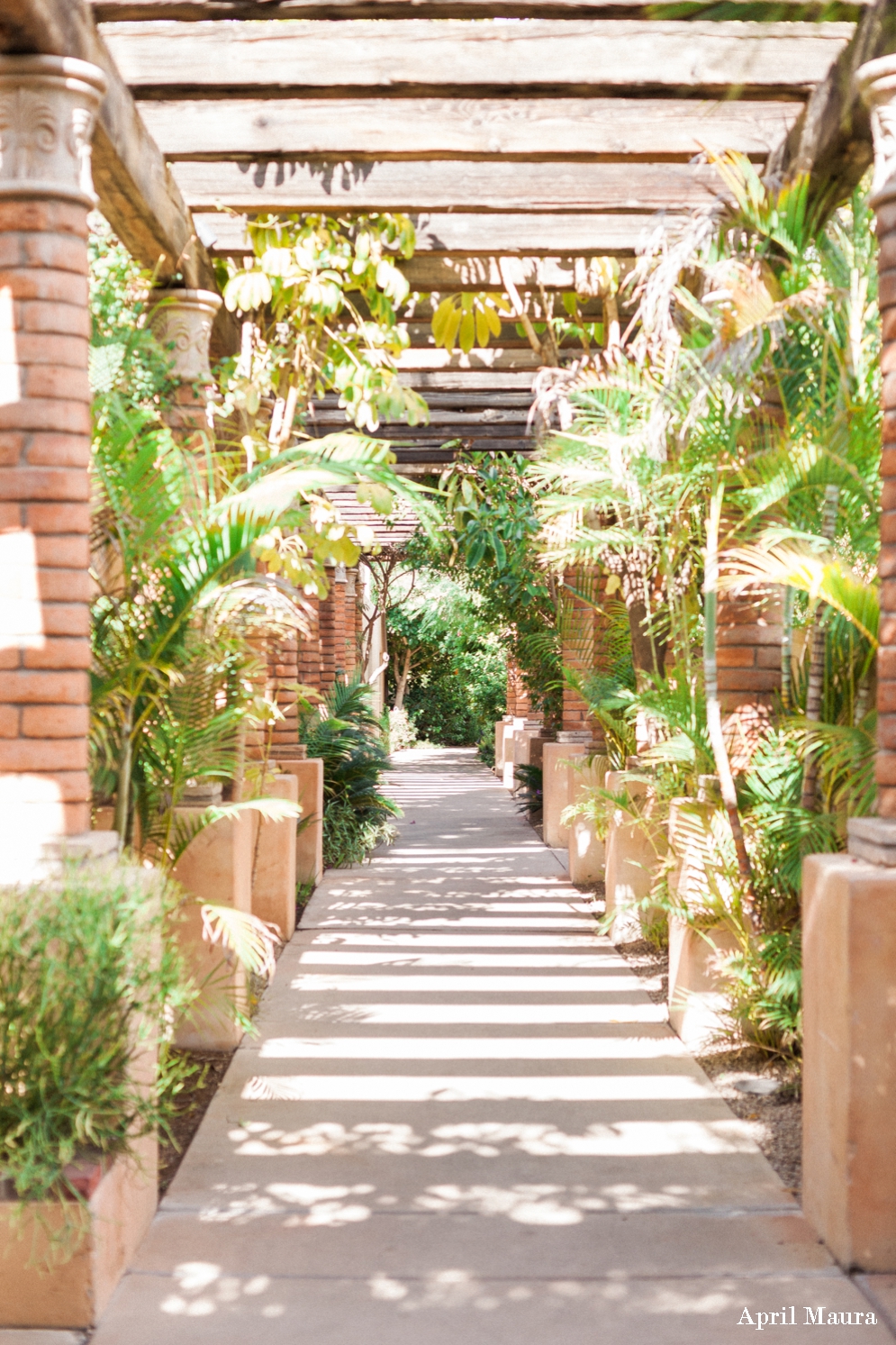 Royal Palms Resort and Spa Wedding Photos | Scottsdale Wedding Photos | April Maura Photography | www.aprilmaura.com_1459.jpg