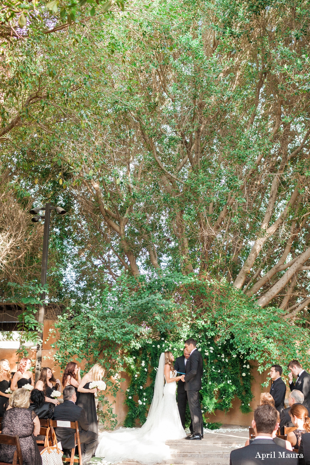 Royal Palms Resort and Spa Wedding Photos | Scottsdale Wedding Photos | April Maura Photography | www.aprilmaura.com_1473.jpg