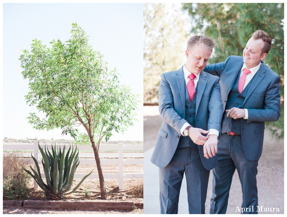 Windmill Winery Wedding Photos | Scottsdale Wedding Photos | April Maura Photography | www.aprilmaura.com_1541.jpg