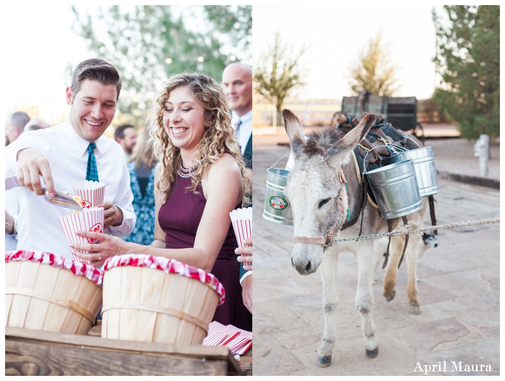 Windmill Winery Wedding Photos | Scottsdale Wedding Photos | April Maura Photography | www.aprilmaura.com_1545.jpg