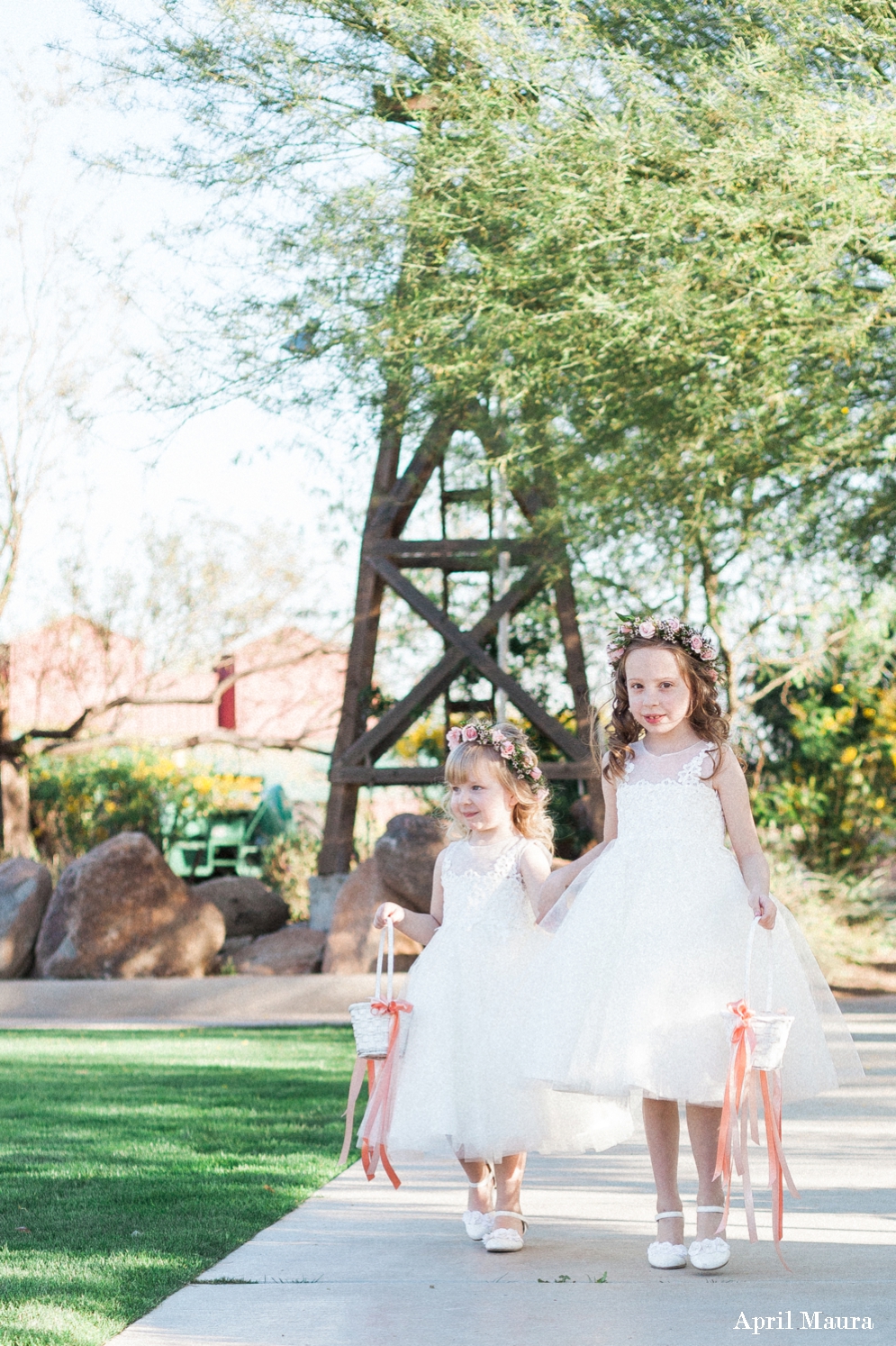 Windmill Winery Wedding Photos | Scottsdale Wedding Photos | April Maura Photography | www.aprilmaura.com_1569.jpg