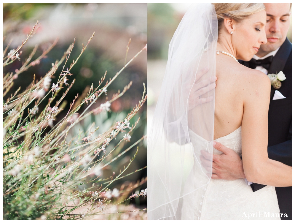 Clayton on the Park Wedding | Scottsdale Wedding Photos | April Maura Photography | www.aprilmaura.com_1886.jpg