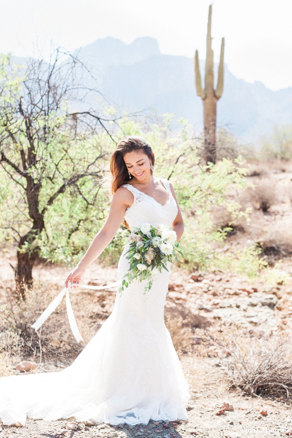 The Paseo Venue Wedding Photos | Scottsdale Wedding Photos | April Maura Photography | www.aprilmaura.com_1815.jpg