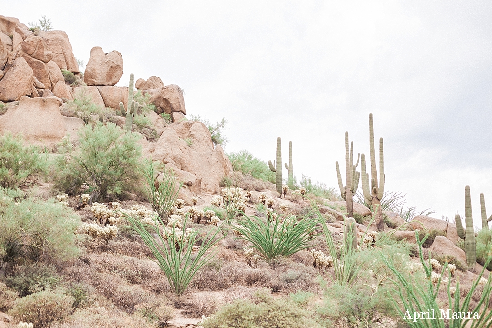 Four Seasons Resort Scottsdale Wedding Photos | Scottsdale Wedding Photos | April Maura Photography | www.aprilmaura.com_2388.jpg