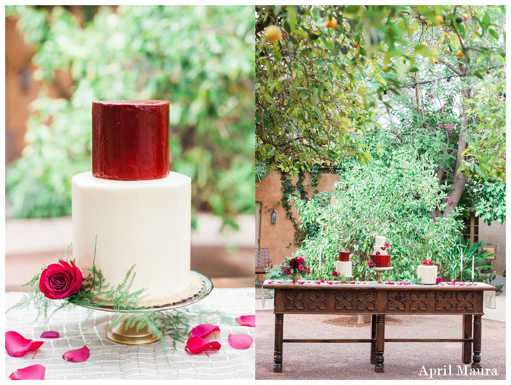 Royal Palms Resort & Spa Wedding Photos | Scottsdale Wedding Photos | April Maura Photography | www.aprilmaura.com_2255.jpg