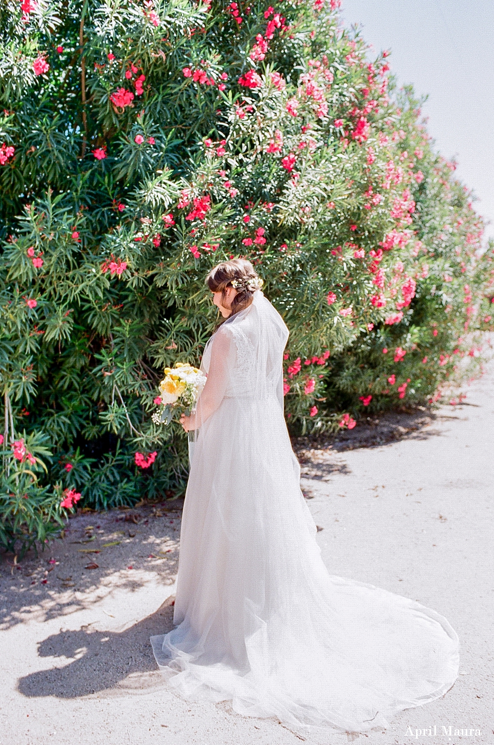 Royal Palms Resort and Spa Wedding Photos | Scottsdale Wedding Photos | April Maura Photography | www.aprilmaura.com_2675.jpg