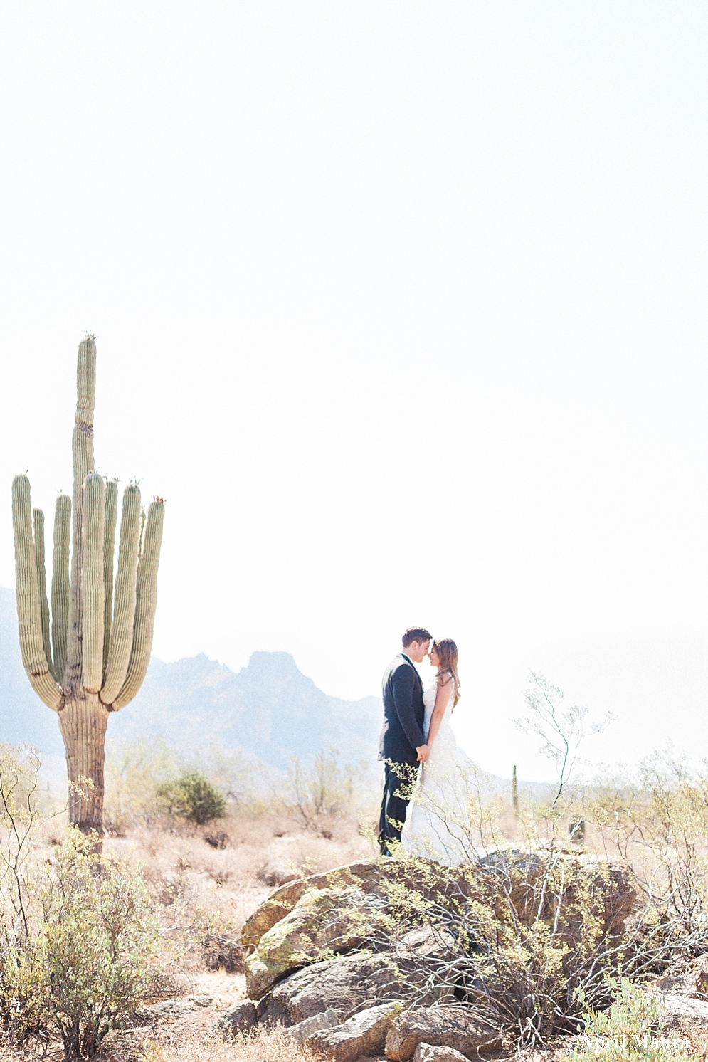 The Paseo Wedding Photos | Scottsdale Wedding Photos | April Maura Photography | www.aprilmaura.com_2505.jpg