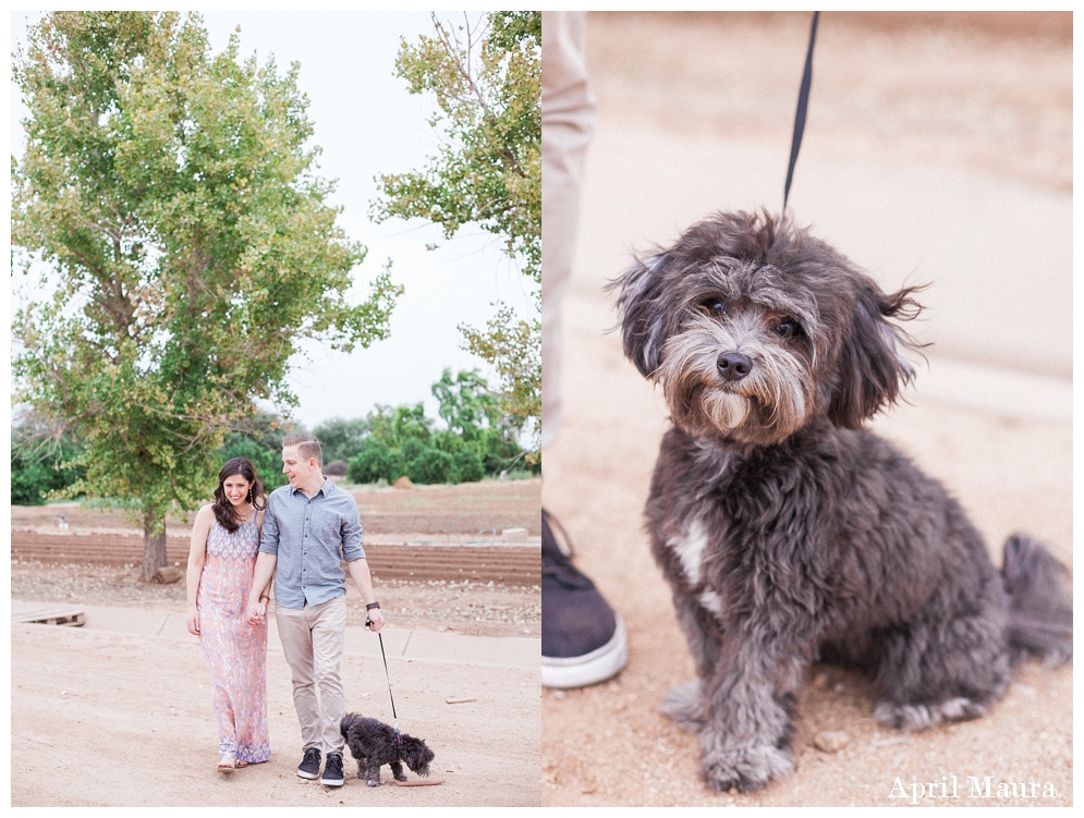 Tumbleweed Ranch Anniversary Photos | Scottsdale Wedding Photos | April Maura Photography | www.aprilmaura.com_2795.jpg