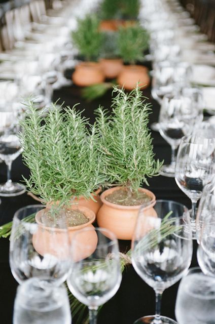 How to Make Your Reception Tables Look Twice Your Budget | Rosemary centerpieces