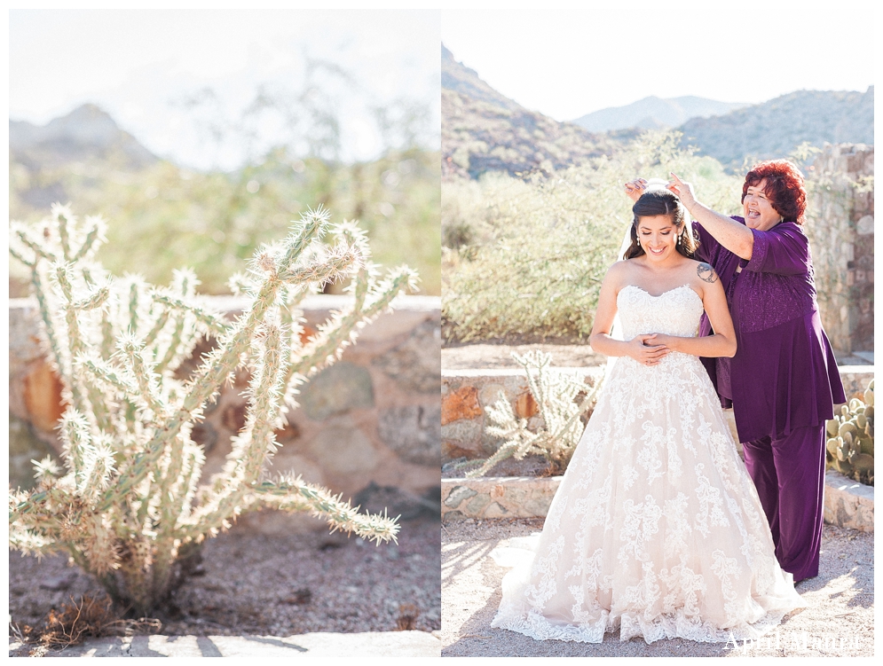 Secret Garden Events Wedding | Scottsdale Engagement Photographer | April Maura Photography | www.aprilmaura.com_3558.jpg