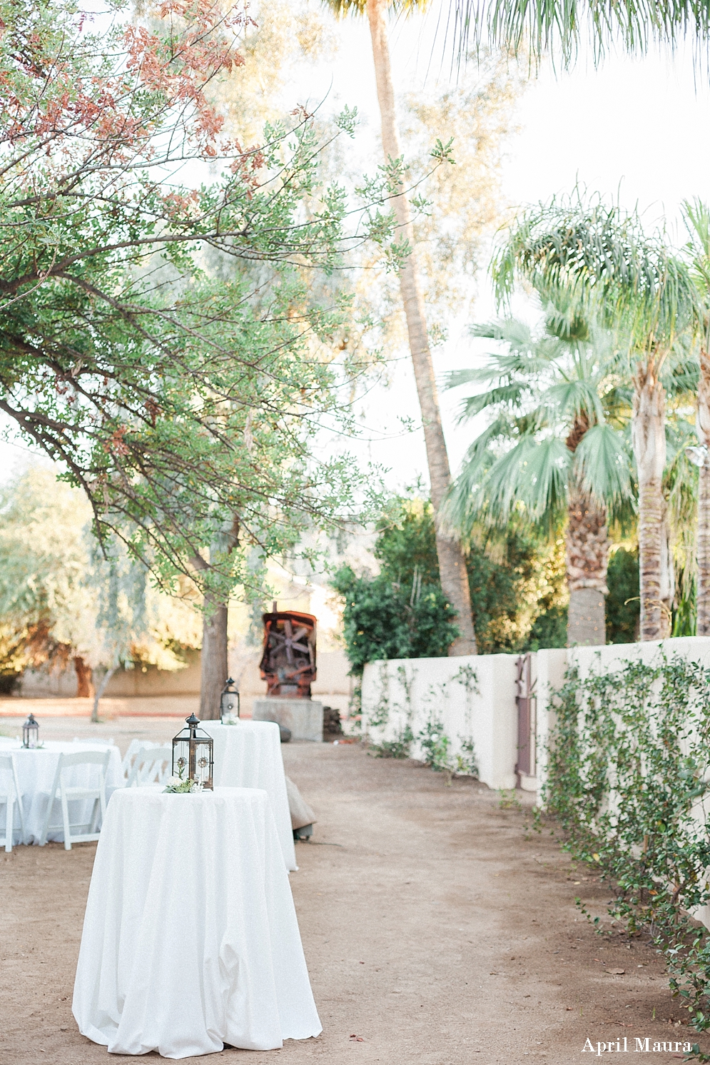 Secret Garden Events Wedding | Scottsdale Engagement Photographer | April Maura Photography | www.aprilmaura.com_3607.jpg